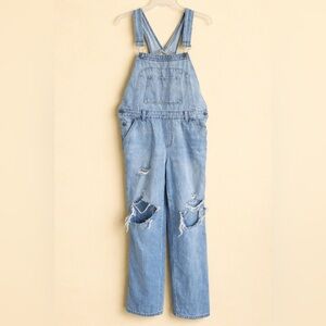 WILD FABLE Light Blue Distressed Denim Overalls